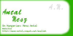 antal mesz business card